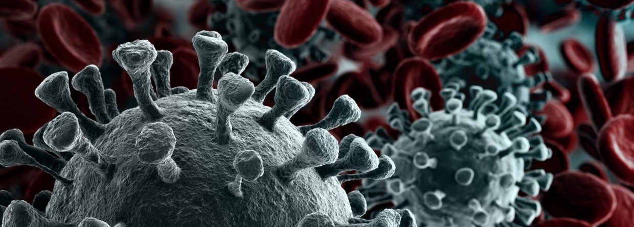 corona virus